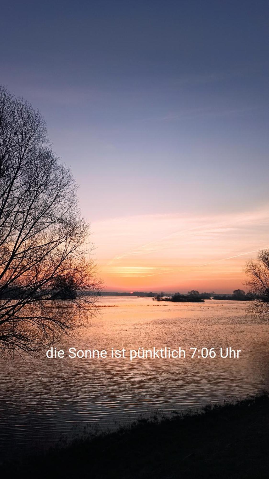 Zur Nachtigall